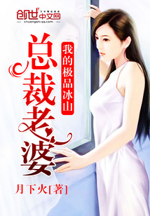 我的极品冰山总裁老婆