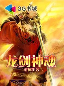 龙剑神魂