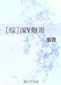 [综]深V炮哥
