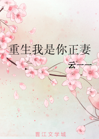 重生我是你正妻