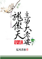穿成龙傲天主角大老婆