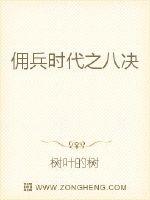 佣兵时代之八决