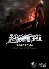 超级神偷系统