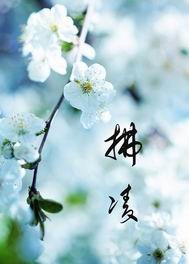 拂凌