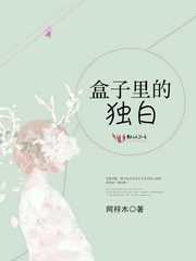 盒子里的独白