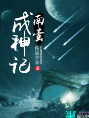 南蛮成神记