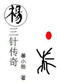 杨三针传奇