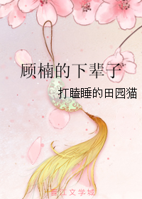 顾楠的下辈子