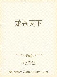 龙苍天下