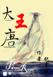 大唐王