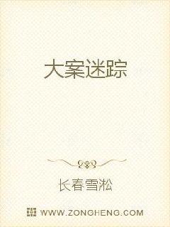 大案迷踪