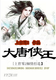 大唐侠王