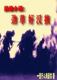抗战小说：劲草好汉拔