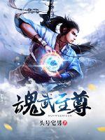 魂武至尊
