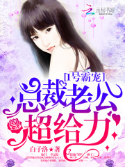 1号霸宠：总裁老公，超给力！