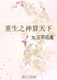 重生之神算天下