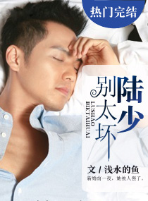 陆少别太坏