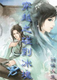 穿越之碰到冰块男